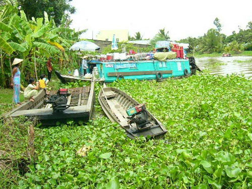 Mua thuốc tây như mua kẹo!