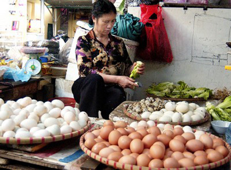 Doanh nghiệp điêu đứng vì Trung Quốc thu gom nguyên liệu