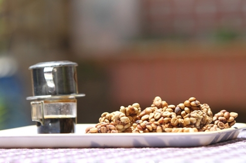 Hai người nuôi chồn ở Thủ phủ cà phê