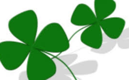 Tùy bút ngày cuối năm.