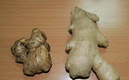 "Các Bộ đùn đẩy, người dân cứ ăn để chết?"