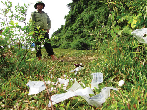Giang hồ xâu xé gỗ huê