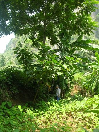 Tảng đá thèm ăn thịt và giếng nước lúc cạn lúc đầy