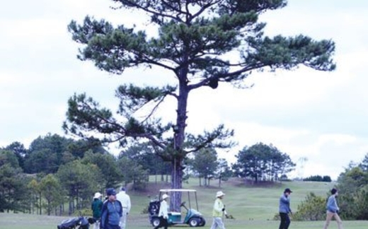 Nhận diện nhóm lợi ích